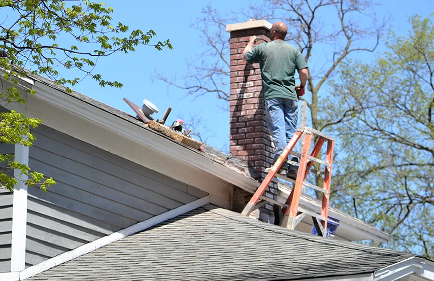 Chimney & Fireplace Inspections Services in Bethel Park, PA